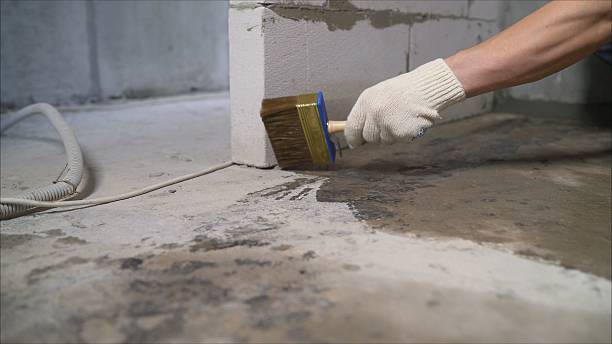 SJ Waterproofing Pros Waterproofing coverage map for Ripley, TN and surrounding area